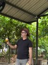 Visita técnica aproxima estudantes de Nutrição da produção artesanal de chocolate