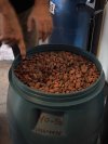 Visita técnica aproxima estudantes de Nutrição da produção artesanal de chocolate