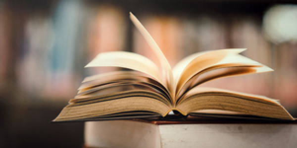 Aperfeiçoamento - Amazônia: Temas Contemporâneos