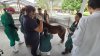 Prática de Semiologia Veterinária no projeto Educativo Agro + Perto