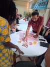 Projeto Nutrição, Meio Ambiente e Sociedade Amazônica na COP30