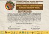 Pesquisadores vinculados a projeto sobre população em situação de rua apresentam trabalhos em seminário internacional