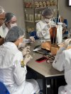 Curso de atualização em imunização abre programação da Semana da Enfermagem 2026