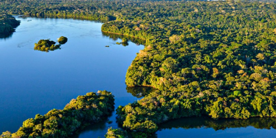 Curso de Farmácia realizará ciclo de palestras alusivo ao Dia da Amazônia